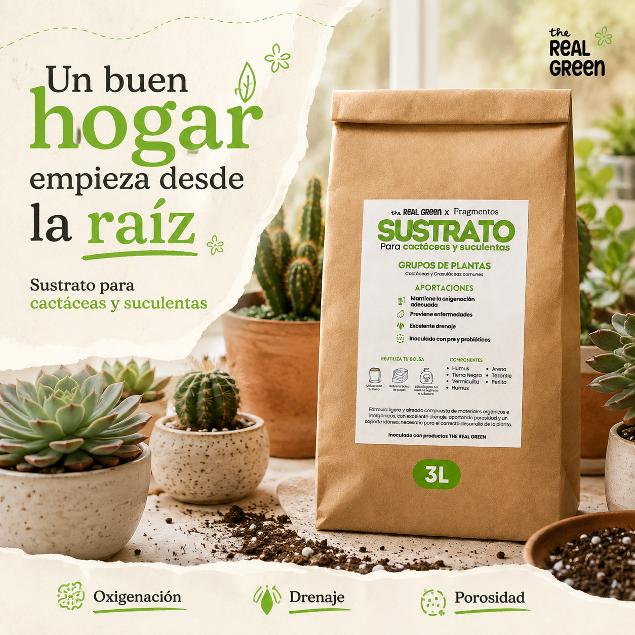 Sustrato para cactáceas y suculentas 3L