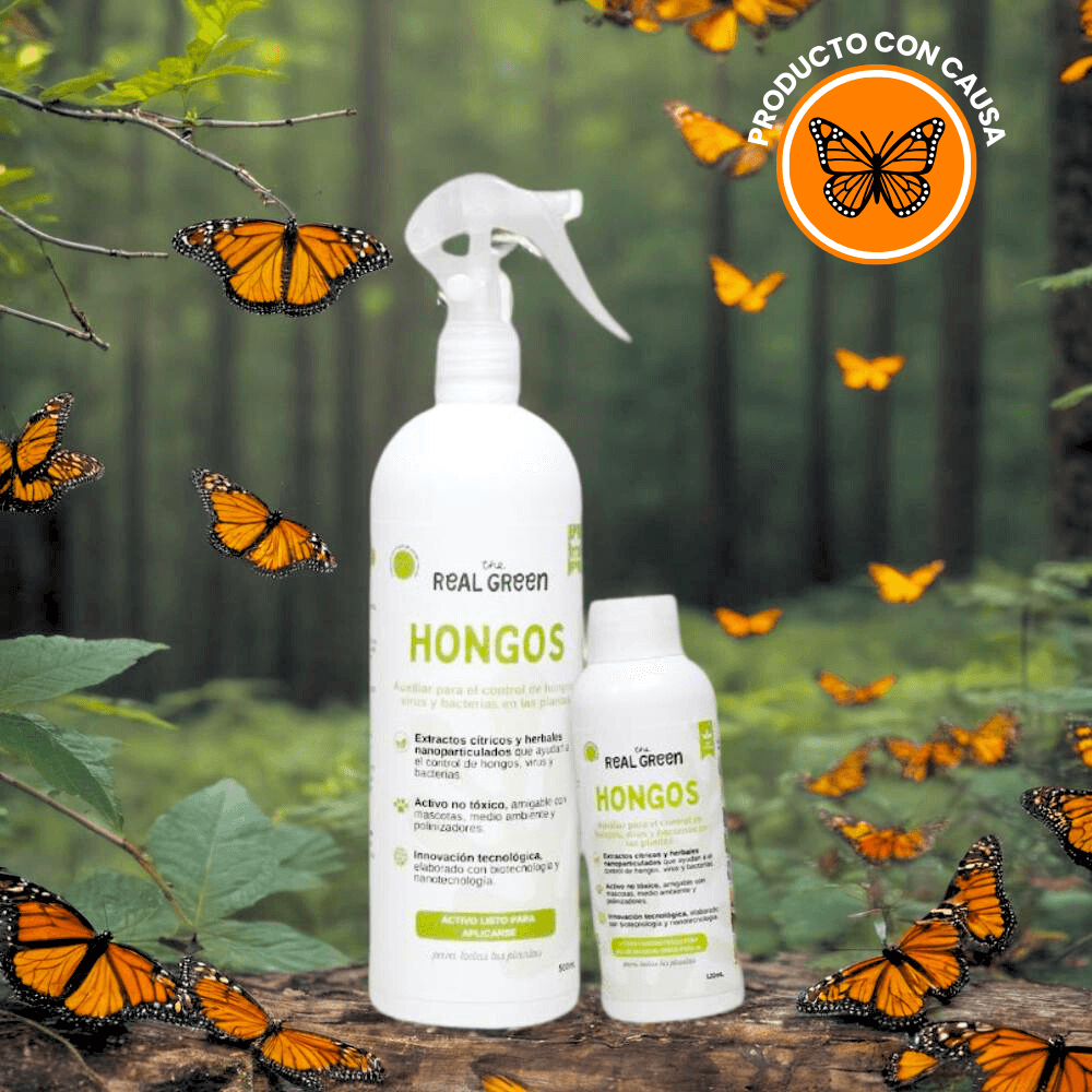 Auxiliar para el control de hongos, virus y bacterias