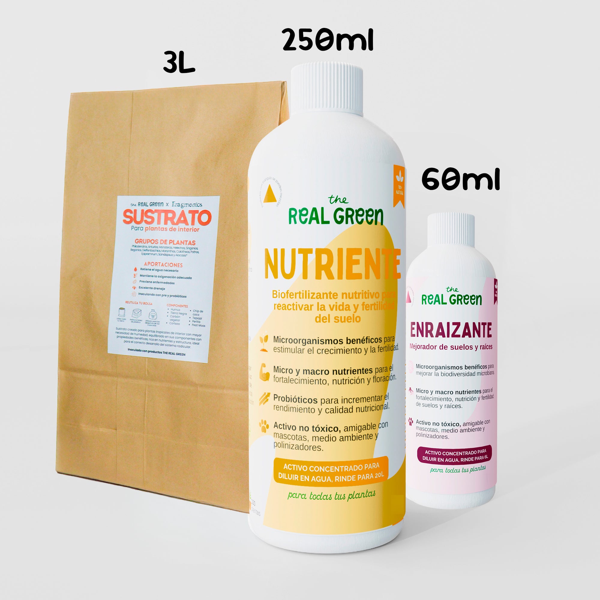 Kit para principiantes