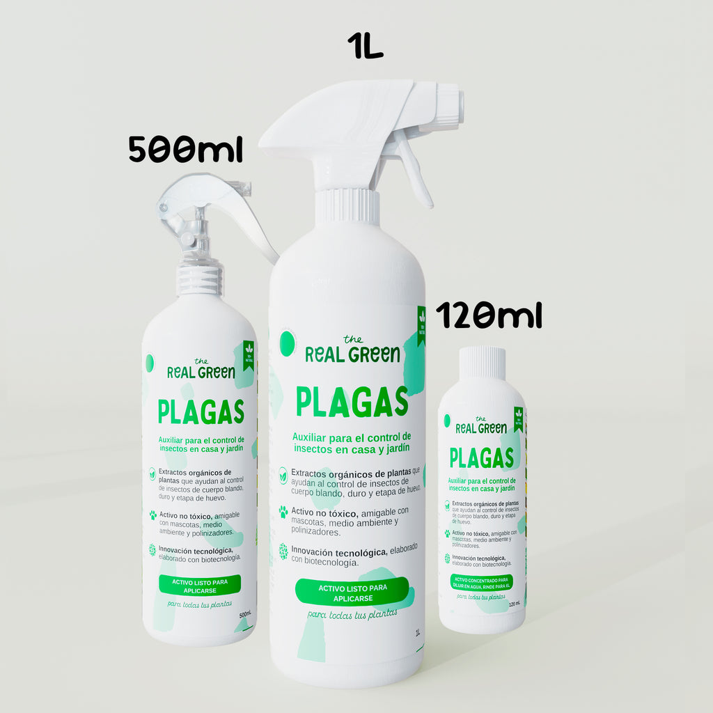 Auxiliar para el control de plagas