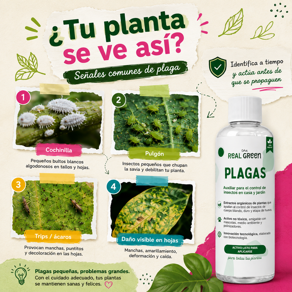 Auxiliar para el control de plagas