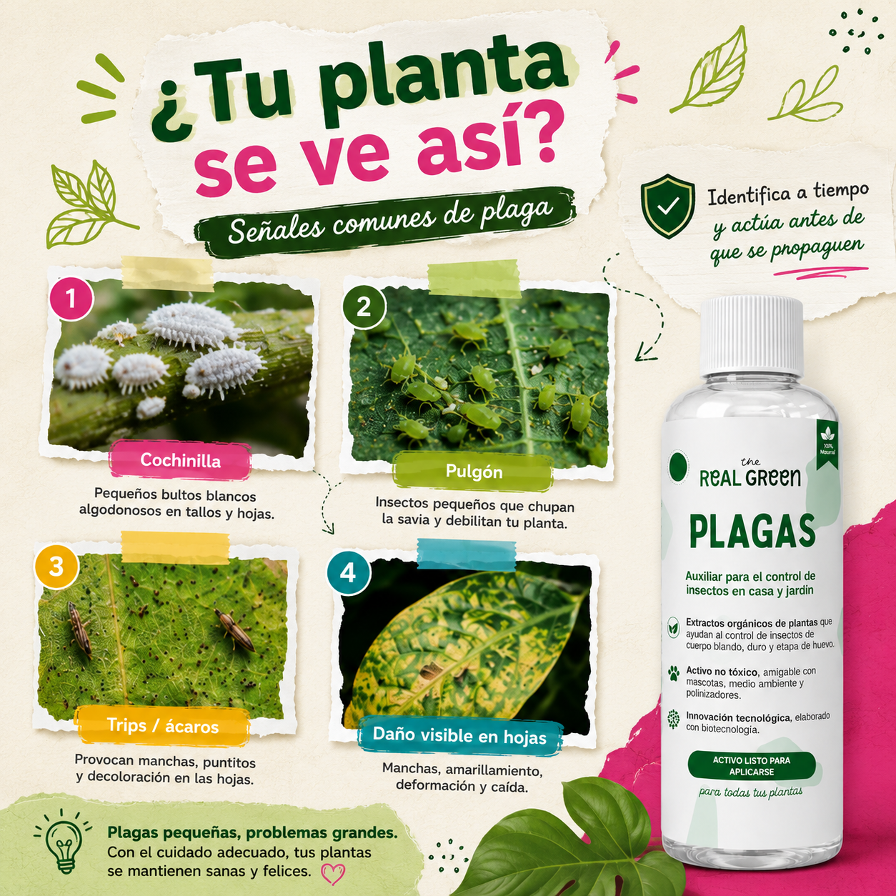 Auxiliar para el control de plagas