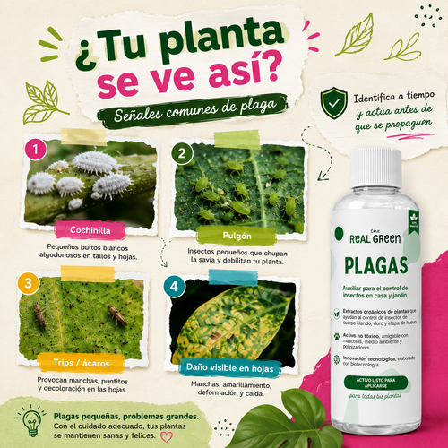Auxiliar para el control de plagas