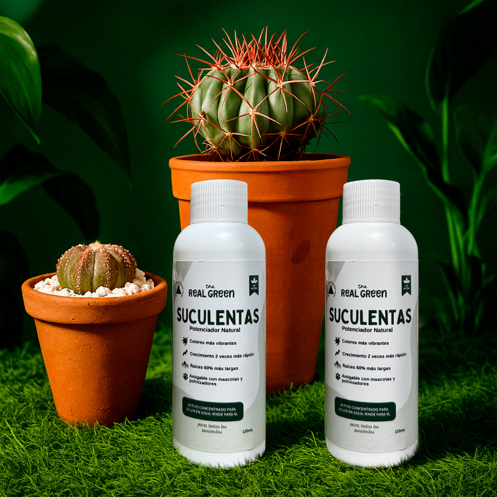 Enraizante para cactáceas y suculentas