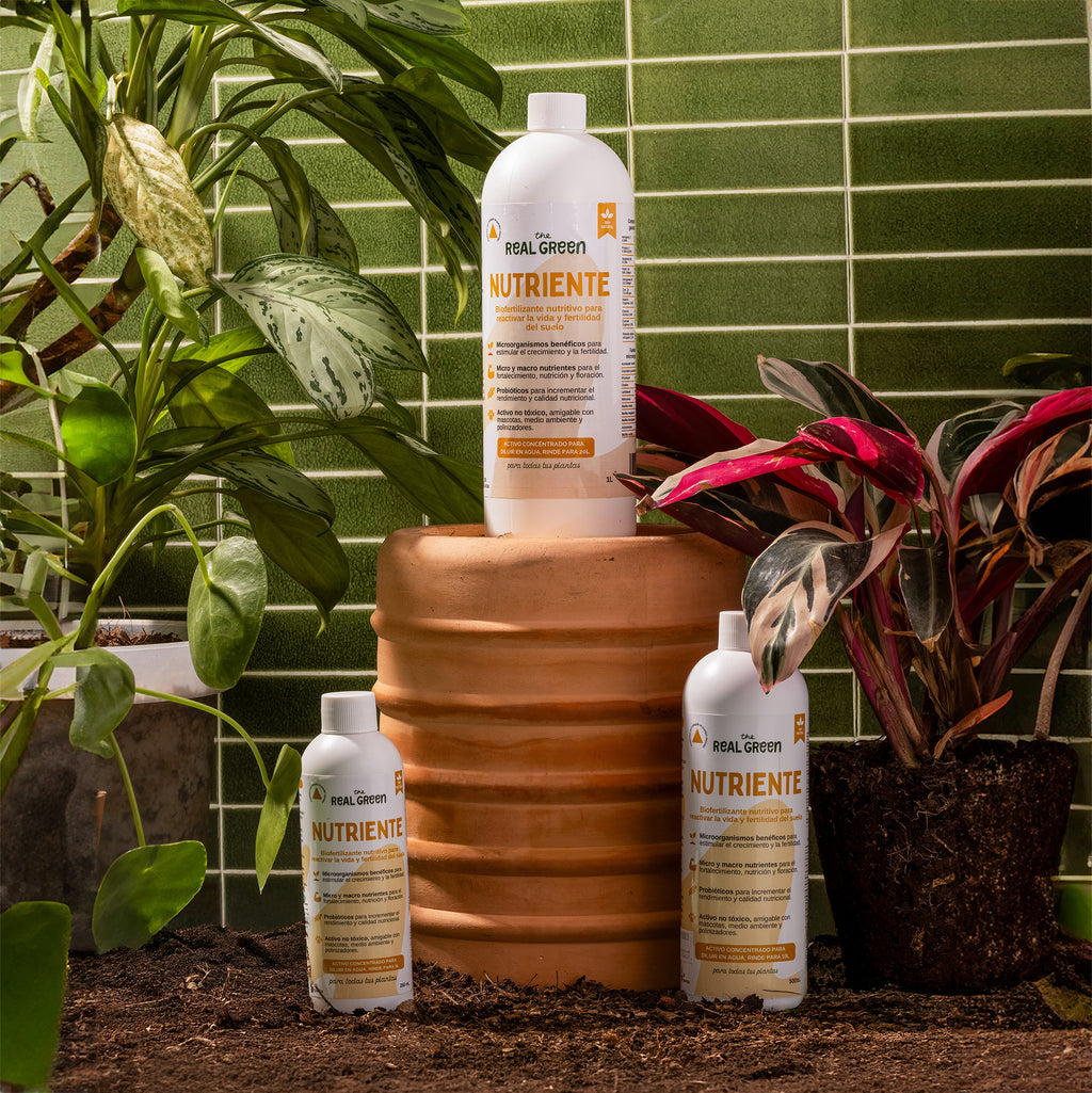 Bio-fertilizante nutritivo