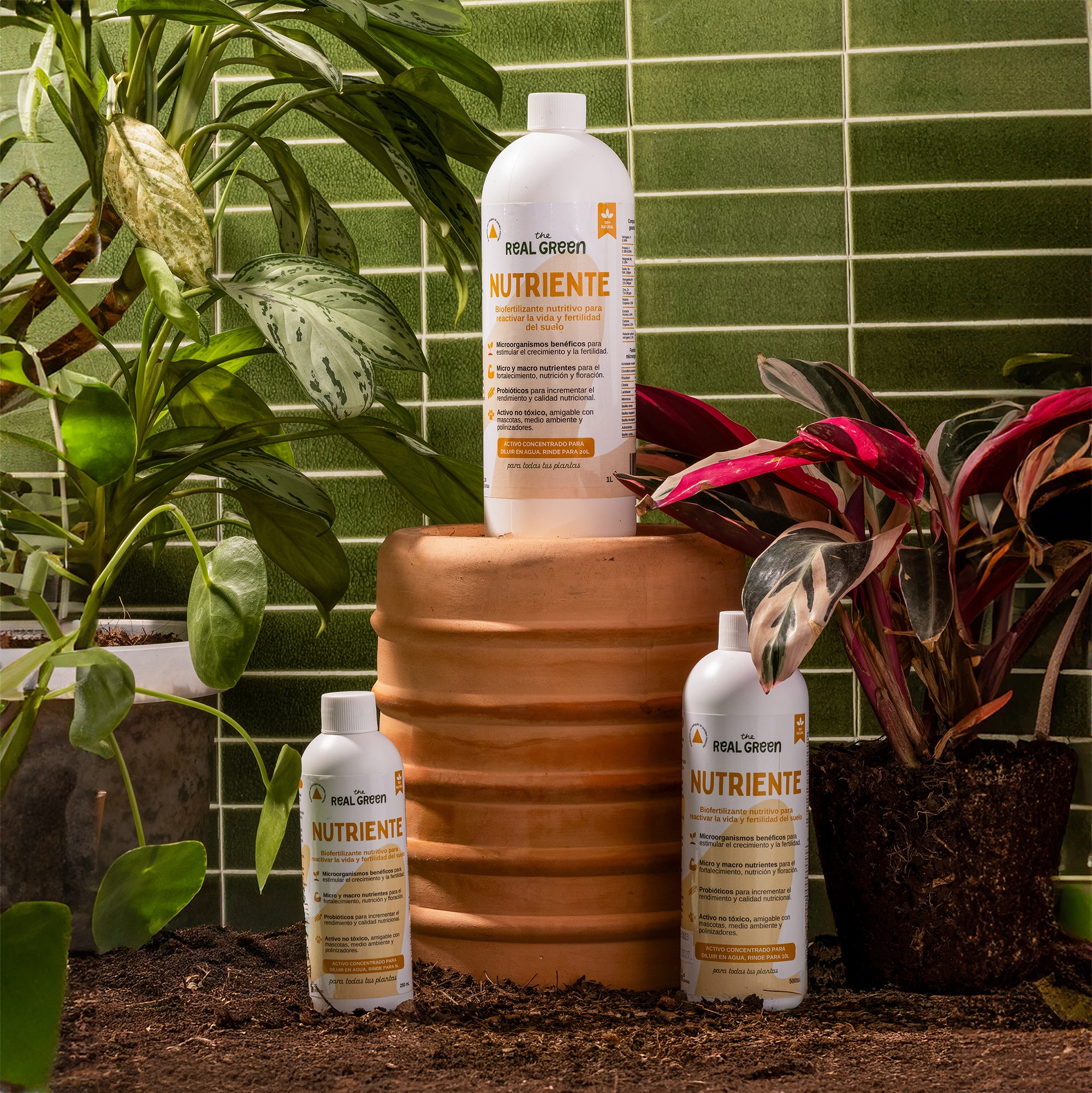 Bio-fertilizante nutritivo