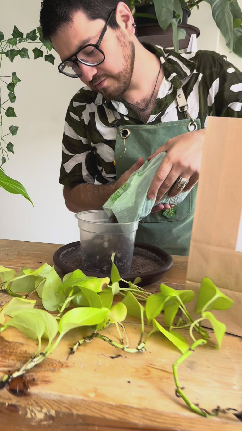 Sustrato para plantas carnívoras 3L