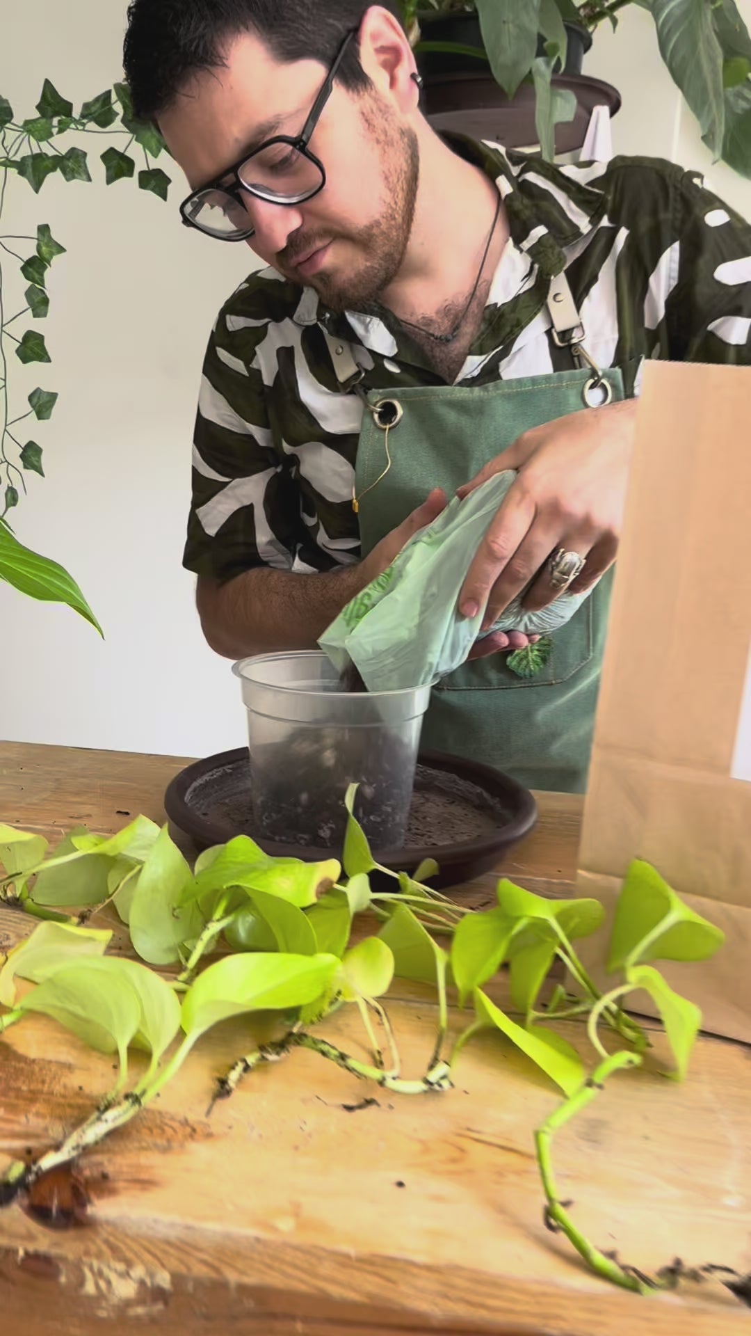 Sustrato para plantas carnívoras 3L