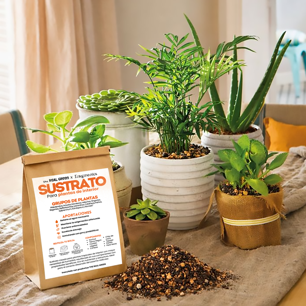 Sustrato para plantas de interior 3L