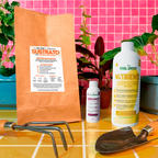 Kit para principiantes