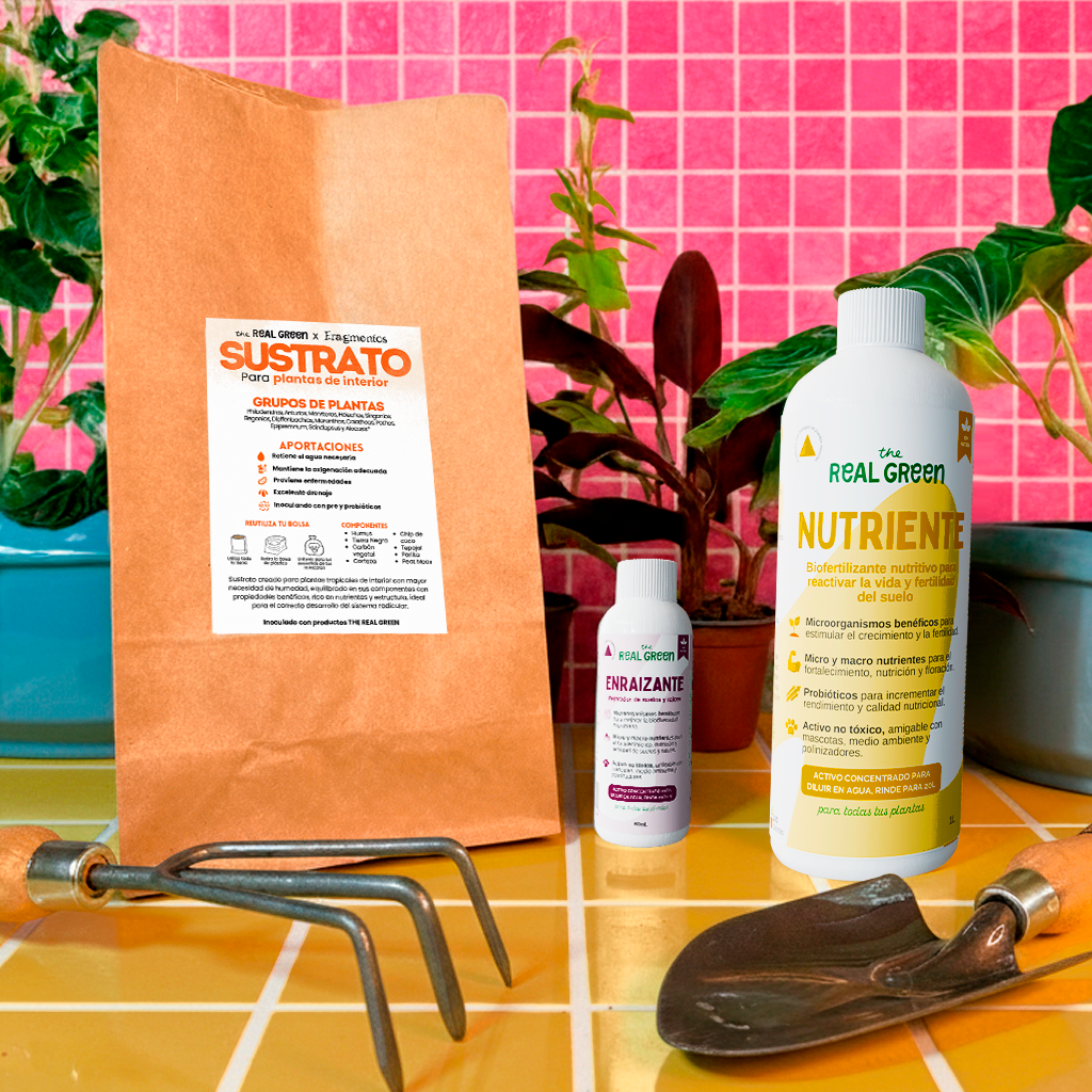 Kit para principiantes